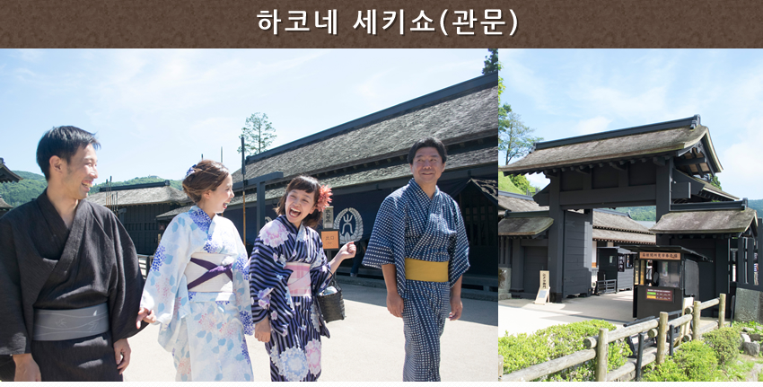 하코네 세키쇼(관문)
