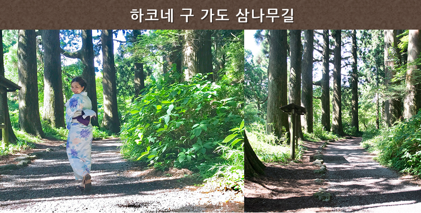 하코네 구 가도 삼나무길